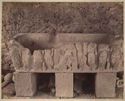 Sarcophage romain a Tebessa