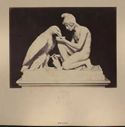 [Statua in marmo di Ganimede e l'aquila di Bertel Thorvaldsen: Thorvaldsen museum: Copenaghen]