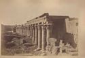 Ile de Philae: collonade et dromos du temple d'Isis