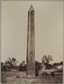 Heliopolis: obelisco