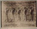 Epoque assyrienne: frise des archers: salle du trone de Darius 1.: Louvre ...