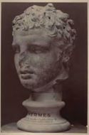 Testa marmorea di un atleta o probabilmente di Eracle: collezione Aberdeen: 320 a. C.: British Museum, 1600: Londra
