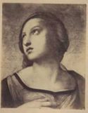 Santa Caterina d'Alessandria di Raffaello, particolare del viso: National Gallery: Londra
