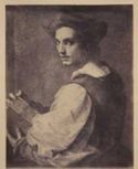Ritratto di un giovane di Andrea del Sarto: National Gallery: Londra