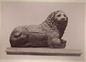 [Scultura marmorea di un leone parte di un monumento funebre: 350-200 a. C.: proviene da Knidos: British Museum, 1350: Londra]