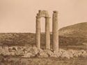 Nemea: tempio di Zeus