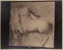 Metope proveniente dal Partenone con centauromachia: museo dell'Acropoli: Atene