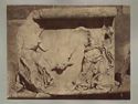 Fregio del parapetto del tempio ateniese di Atena Nike con due Nikai e un toro da sacrificare: lastra settentrionale: museo dell'Acropoli: Atene