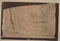 Rilievo in marmo pentelico di età arcaica mutilo della parte superiore: museo archeologico nazionale: Atene