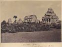Mahabalipuram: veduta dei sette templi monumentali