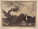 Il sogno di Giacobbe di Jusepe de Ribera: museo del Prado: Madrid