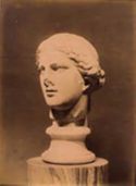 Testa di una Venere o di una Niobide: museo nazionale romano, terme di Diocleziano