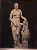 Roma: museo Vaticano: Venere di Cnido (copia antica della Venere di Praxitele)