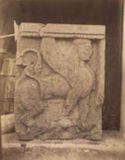 Sfinge alata: metope: salone di Selinunte: museo regionale archeologico: Palermo