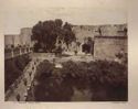Siracusa: fontana [i.e. fonte] Aretusa