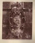 Firenze: (via Porta Rossa, 9): stemma attribuito a Donatello: palazzo Davanzati