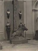 Il Cinghiale: statua in marmo: galleria degli Uffizi: Firenze
