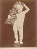 Città di Castello: pinacoteca: putto con festone di fiori