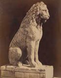 Venezia: Arsenale: lato sinistro della cancellata: leone marmoreo proveniente da Porto Leone nel Pireo