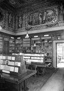 [Biblioteca universitaria di Bologna: la sala di lettura delle riviste: gli affreschi del Tibaldi [i.e. Prospero Fontana]