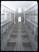 Biblioteca universitaria: Grande sala di lettura già Aula magna - Costruita nel 1741 arch. Carlo Francesco Dotti - Donata da Benedetto XIV - (rest. A. X)