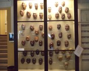 Calchi facciali di diversi tipi umani (collezione L. Cipriani).