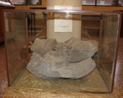 Cristalli prismatici di barite