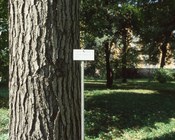 Particolare del Giardino Anteriore