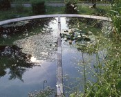 Vasca delle piante acquatiche