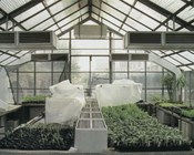 Serra per piante tropicali.