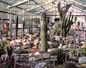 Serra per la collezione di piante succulente.