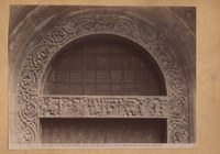 Alb-Figura 5: Emilia - Romagna 230