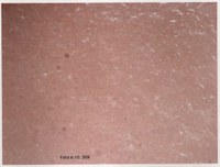 Figura 1: immagine di controllo non appartenente al Fondo Supino Figura 1: immagine di controllo non appartenente al Fondo Supino