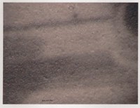 Figura 2: Emilia - Romagna 219