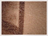 Figura 3: Piemonte 003