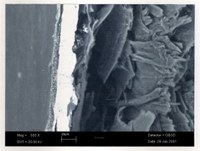 Figura 4: Emilia - Romagna 219