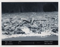 Figura 4: Toscana I 144 Figura 4: Toscana I 144