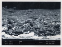 Figura 5: Toscana I 149 Figura 5: Toscana I 149