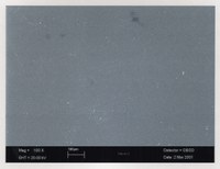 - Microscopio elettronico a scansione ingrandimento 100x: mostra uno strato granuloso che corrisponde alla gelatina. Figure 2