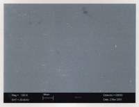 - Microscopio elettronico a scansione ingrandimento 100x: mostra uno strato granuloso che corrisponde alla gelatina. Figure 2 - Microscopio elettronico a scansione ingrandimento 100x: mostra uno strato granuloso che corrisponde alla gelatina. Figure 2