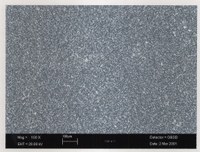 - Microscopio elettronico a scansione ingrandimento 100x: mostra uno strato granuloso che corrisponde alla gelatina. Figure 3
