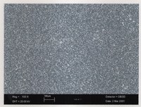 - Microscopio elettronico a scansione ingrandimento 100x: mostra uno strato granuloso che corrisponde alla gelatina. Figure 3 - Microscopio elettronico a scansione ingrandimento 100x: mostra uno strato granuloso che corrisponde alla gelatina. Figure 3