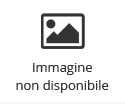 Ritratto di Copernico