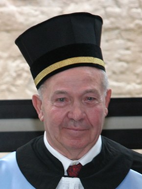 Domenico Maffei